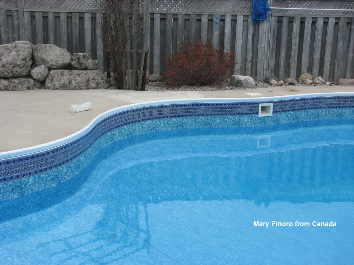 10 FEET Do-It-Yourself Designer 9in Mardi Gras Pattern Borderlines Kit Secondary image